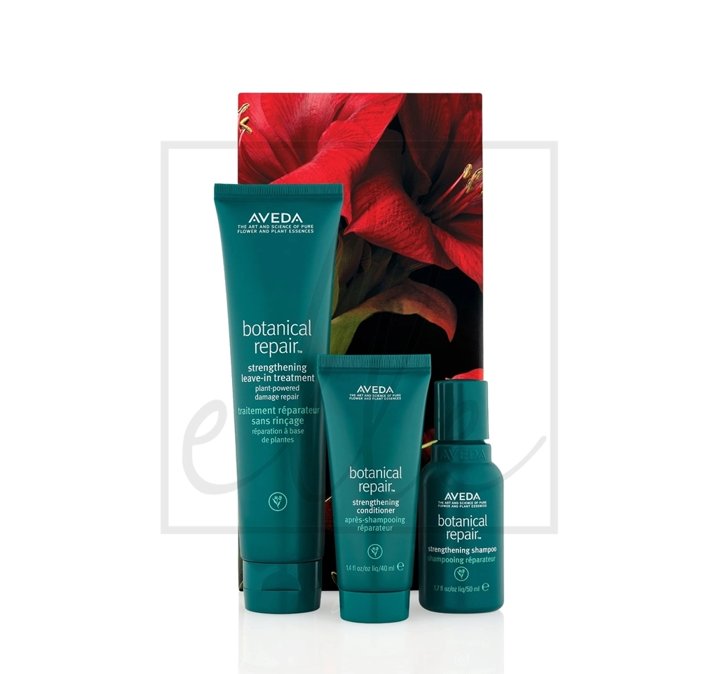 AVEDA アヴェダ ボタニカル ヘアケア シャンプー マスク3点セット