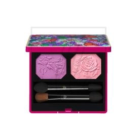 Cpb eye color duo 110 sunset in the garden