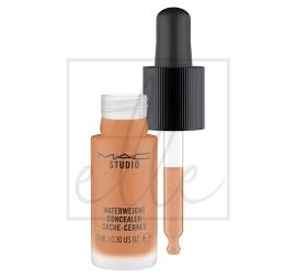 Studio waterweight concealer - nw45