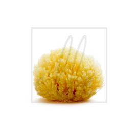 Acca kappa 85116 small bath sponge