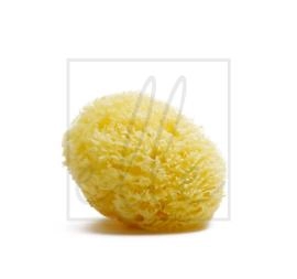 85 118spugne naturali